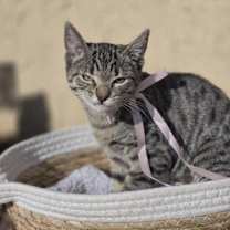 Thumbnail photo of Marla #1