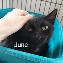 Thumbnail photo of June #2