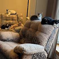 Thumbnail photo of Curley #4