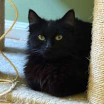 Thumbnail photo of Maarva #3