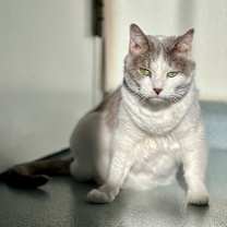 Thumbnail photo of Amelia #4