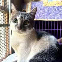 Thumbnail photo of Mabel Wright #1