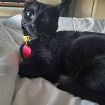 Thumbnail photo of CiCi #1