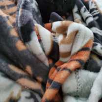 Thumbnail photo of CiCi #3