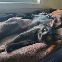 Thumbnail photo of CiCi #4