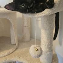 Thumbnail photo of Sabrina #3