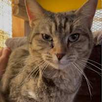 Thumbnail photo of Mia #3