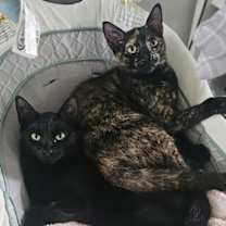 Thumbnail photo of Ben #3