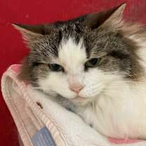 Thumbnail photo of Catherine #1