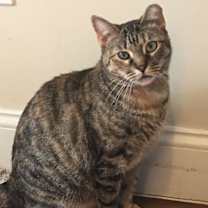 Thumbnail photo of Ella #2