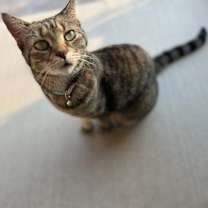 Thumbnail photo of Maggie #3