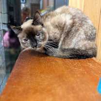 Thumbnail photo of Little Barnes #1