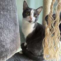 Thumbnail photo of Baby Spice #1