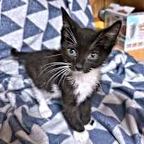 Thumbnail photo of Simone #2