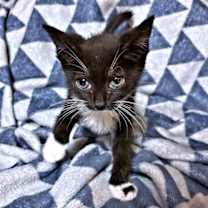 Thumbnail photo of Simone #3