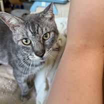 Thumbnail photo of Melvin #3