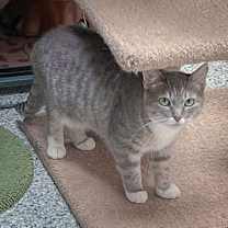 Thumbnail photo of Mary #3