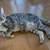 Thumbnail photo of Pam #2