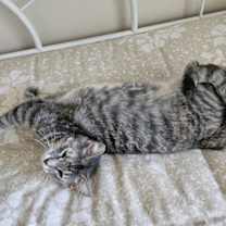 Thumbnail photo of Pam #3