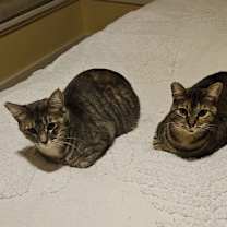 Thumbnail photo of Pam #4