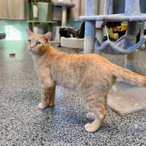 Thumbnail photo of FC48 O'Malley #4