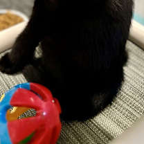 Thumbnail photo of Cash #3