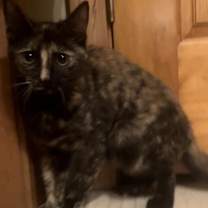 Thumbnail photo of Montana #3