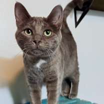 Thumbnail photo of Casper #3