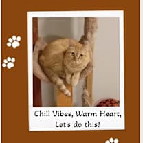 Thumbnail photo of Milo  - Intuitive, Sensitive #2