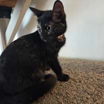 Thumbnail photo of Lucy Ricardo #4