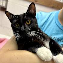 Thumbnail photo of Jimmy #1