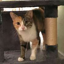 Thumbnail photo of Parfait #3