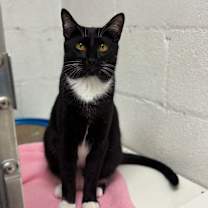 Thumbnail photo of Jimmy #3