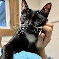 Thumbnail photo of Jimmy #4