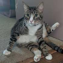 Thumbnail photo of MARK #1