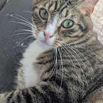 Thumbnail photo of MARK #2