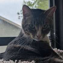 Thumbnail photo of MARK #3