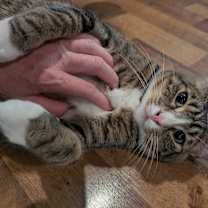 Thumbnail photo of MARK #4