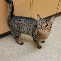 Thumbnail photo of Jonathan #2