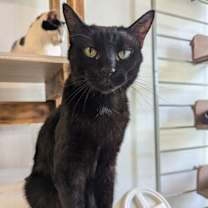 Thumbnail photo of ZIP #3