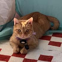 Thumbnail photo of Jane #1