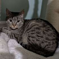 Thumbnail photo of Nika Randall #3