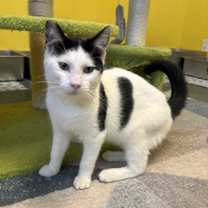 Thumbnail photo of Spaghetti #2