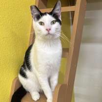 Thumbnail photo of Spaghetti #3