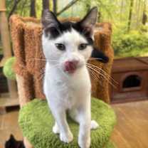 Thumbnail photo of Spaghetti #4