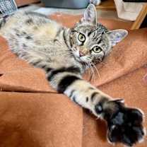 Thumbnail photo of Noelle #2