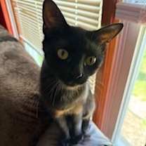 Thumbnail photo of Kaia #1