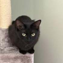 Thumbnail photo of Kaia #3