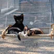 Thumbnail photo of Everett #2