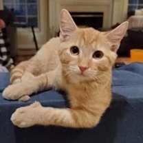 Thumbnail photo of Sunrise #1